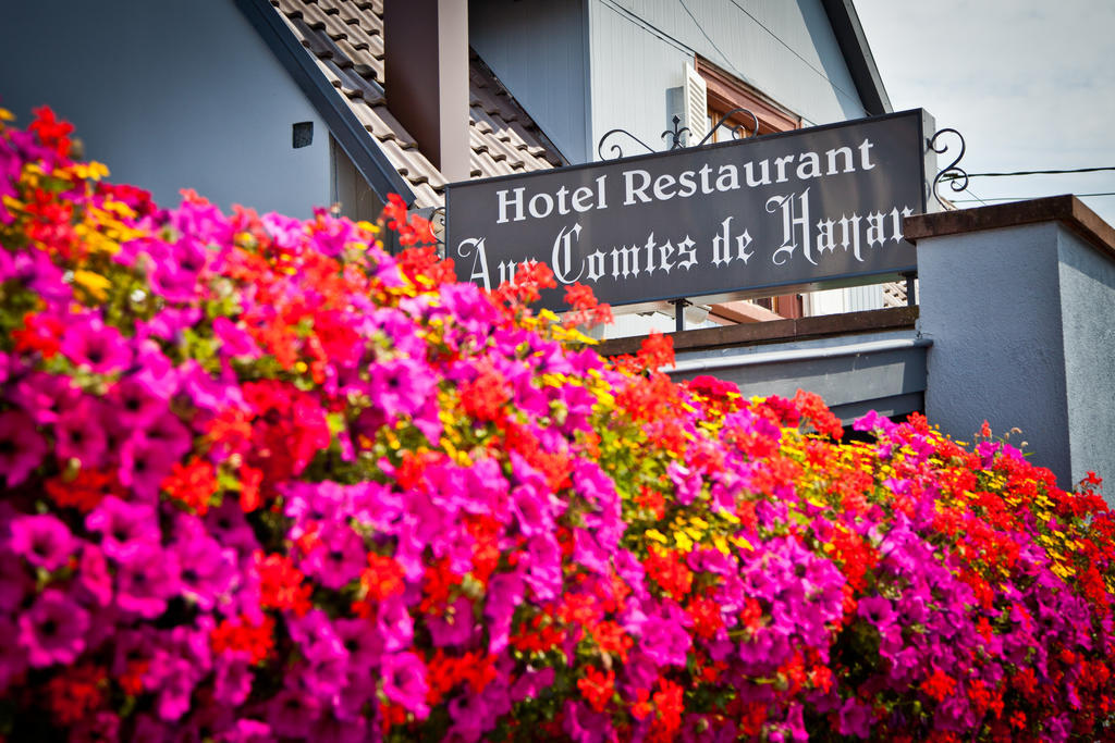 Logis Hotel Aux Comtes De Hanau Ingwiller Zewnętrze zdjęcie